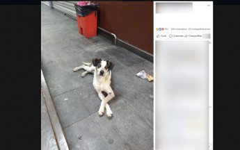 Foto: Reprodução/Facebook