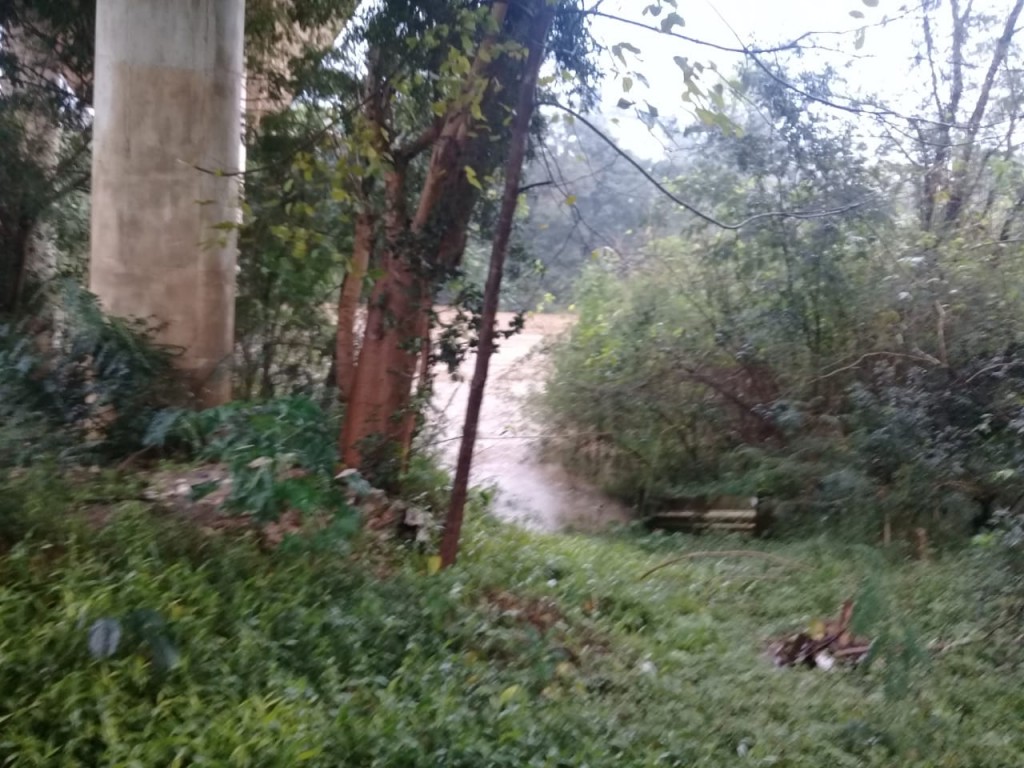 Rio Negro - Ponte Rodrigo Ajace