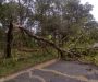Planalto Norte: Tempestade e ventos fortes causam estragos em SC
